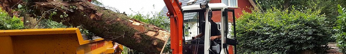 Bomen verwijderen met behulp van Hoveniersbedrijf Stevens