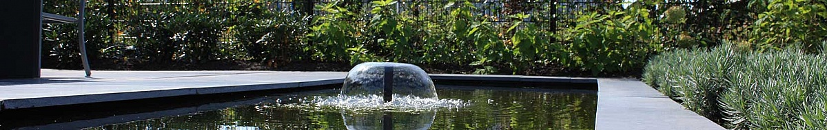 Vijver aanleggen in uw tuin? Hoveniersbedrijf Stevens is u graag van dienst