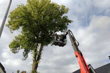 Stormschade opruimen