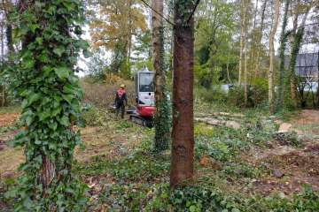 Opruimen tuin Nieuweroord