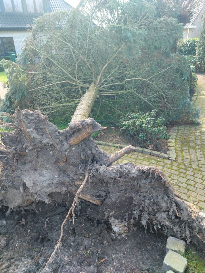 Een flinke storm kan behoorlijk veel schade aanrichten.