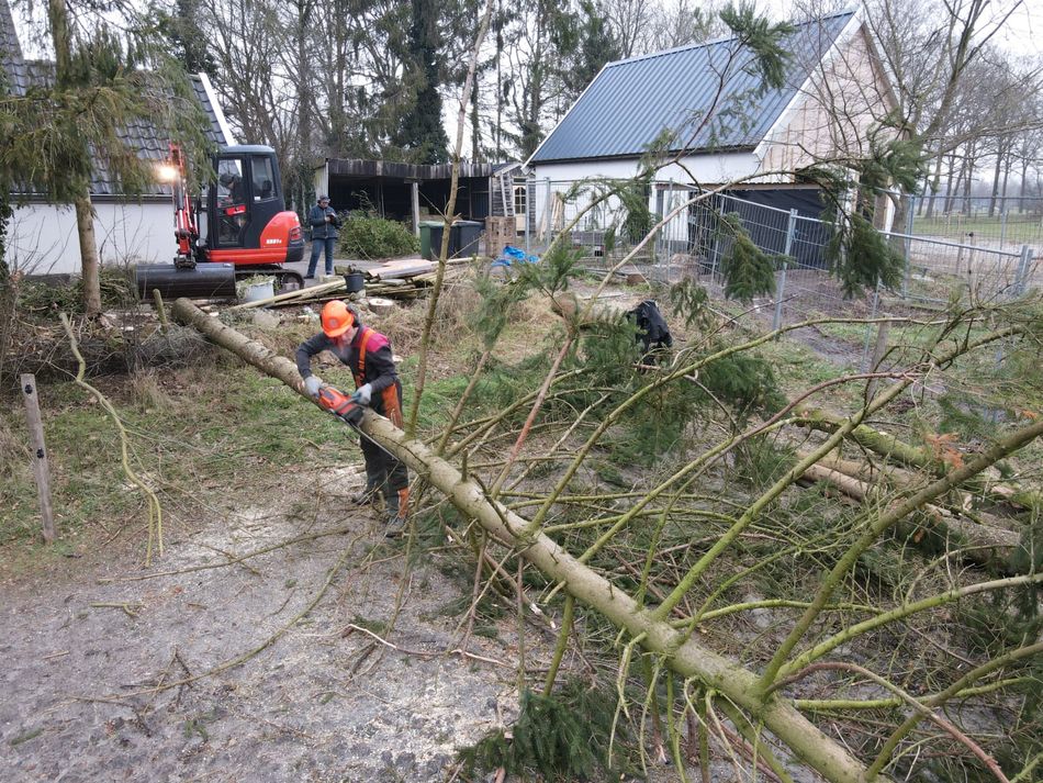 Bomen laten verwijderen door Hoveniersbedrijf Stevens kan veel gevaarlijke situaties voorkomen