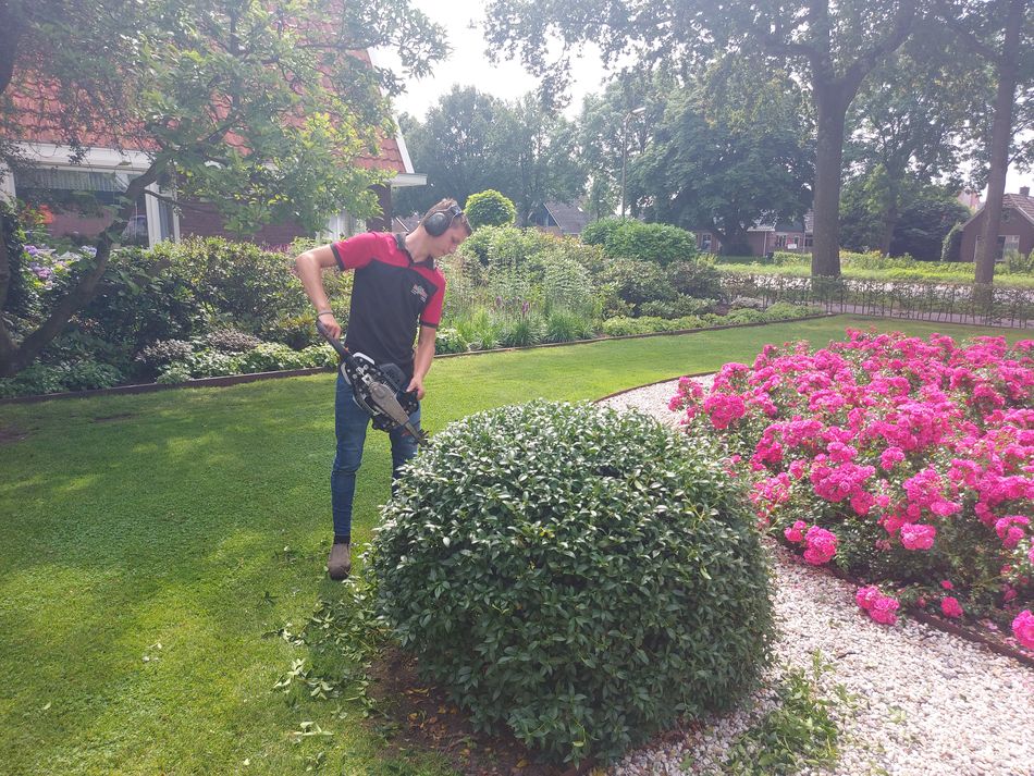 Tuin laten onderhouden Tuin laten onderhouden