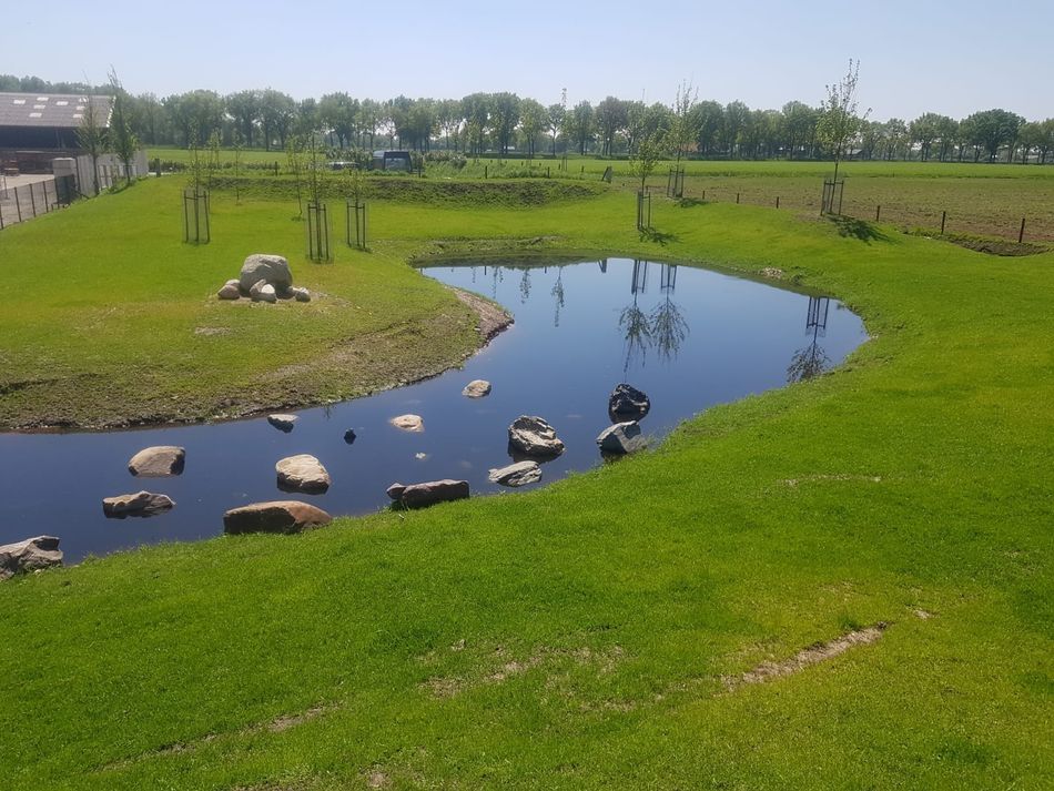 Vijver onderhoud Vijver onderhoud