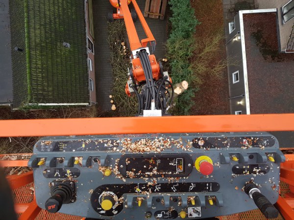 Boomverzorging voor vakantieparken uitgevoerd met professionele materialen