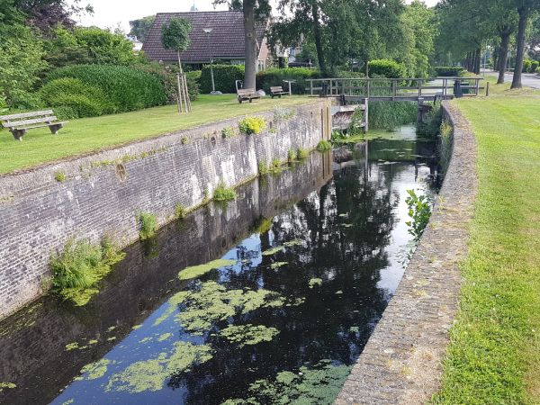 Hoveniersbedrijf Stevens kan gemeentes ondersteunen bij het onderhoud aan openbaar groen