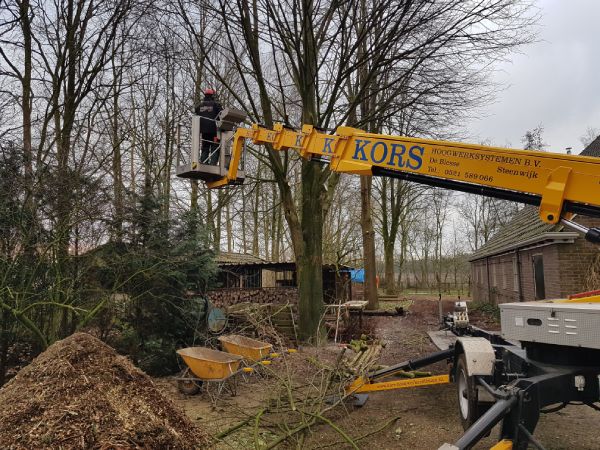 Het snoeien van bomen met professionele materialen en gereedschappen